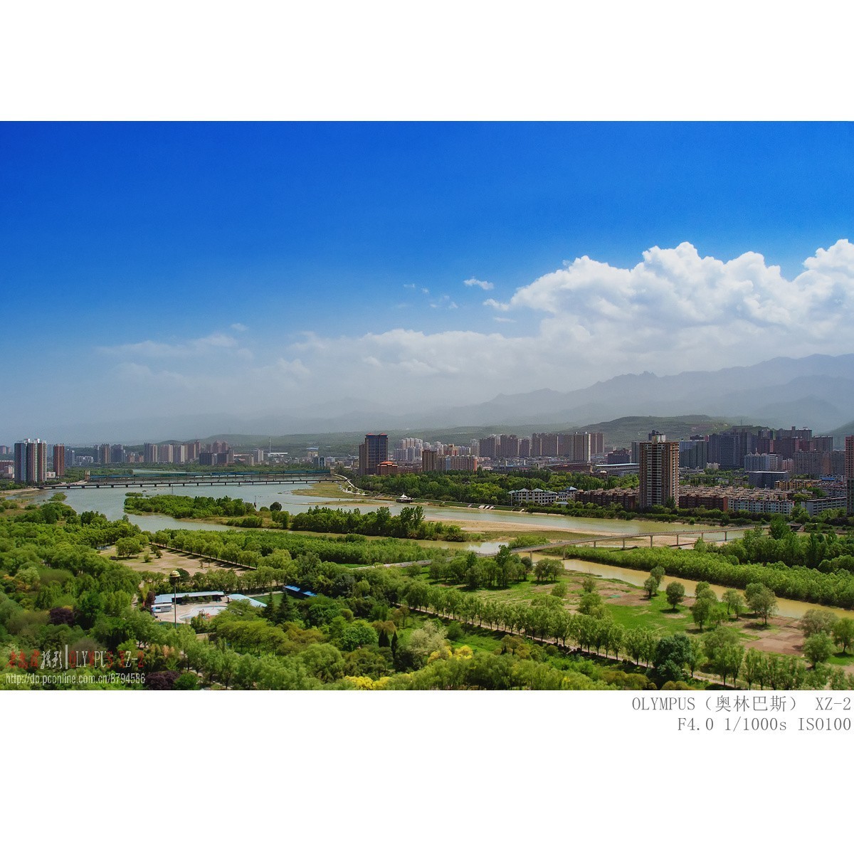 悄悄来临的夏意