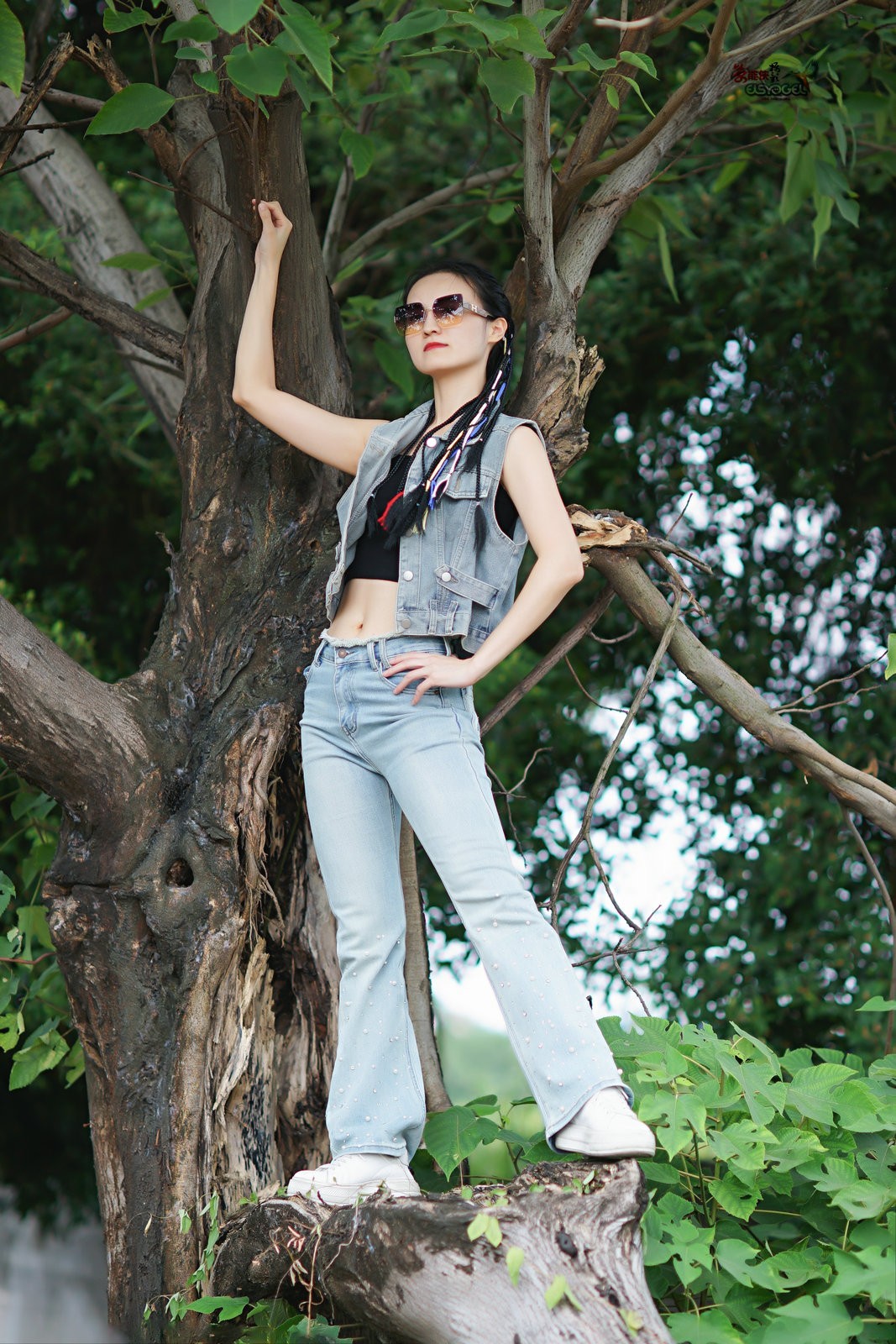 【树上酷女】---沛阳