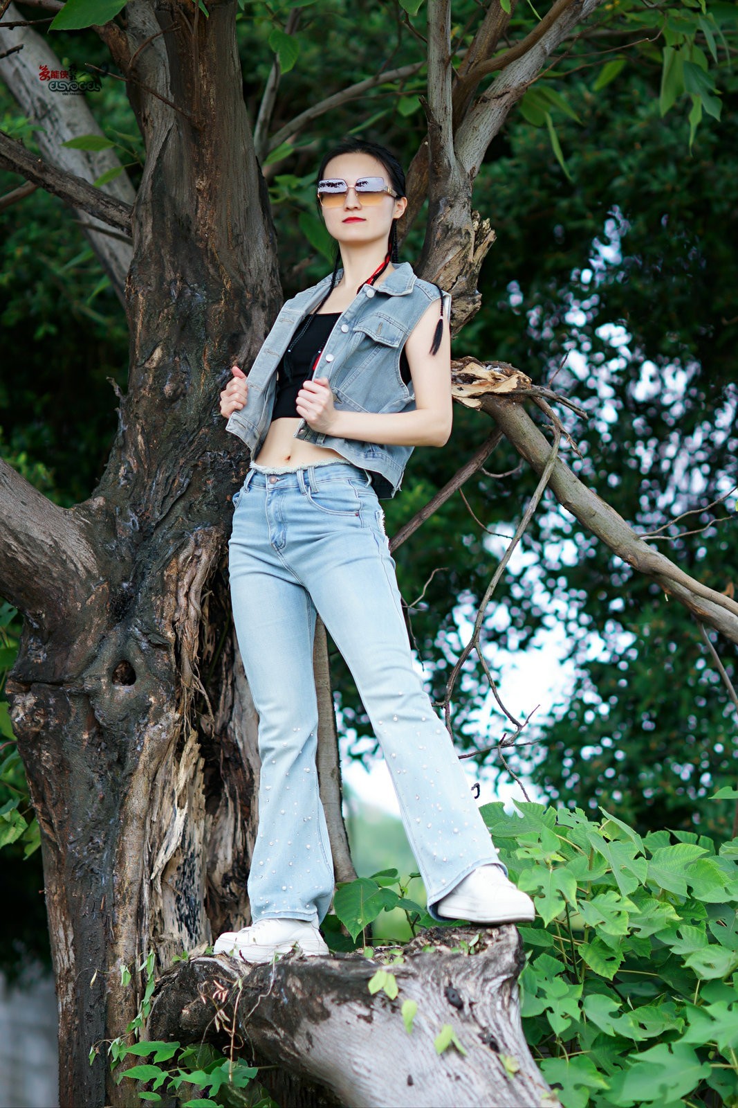 【树上酷女】---沛阳