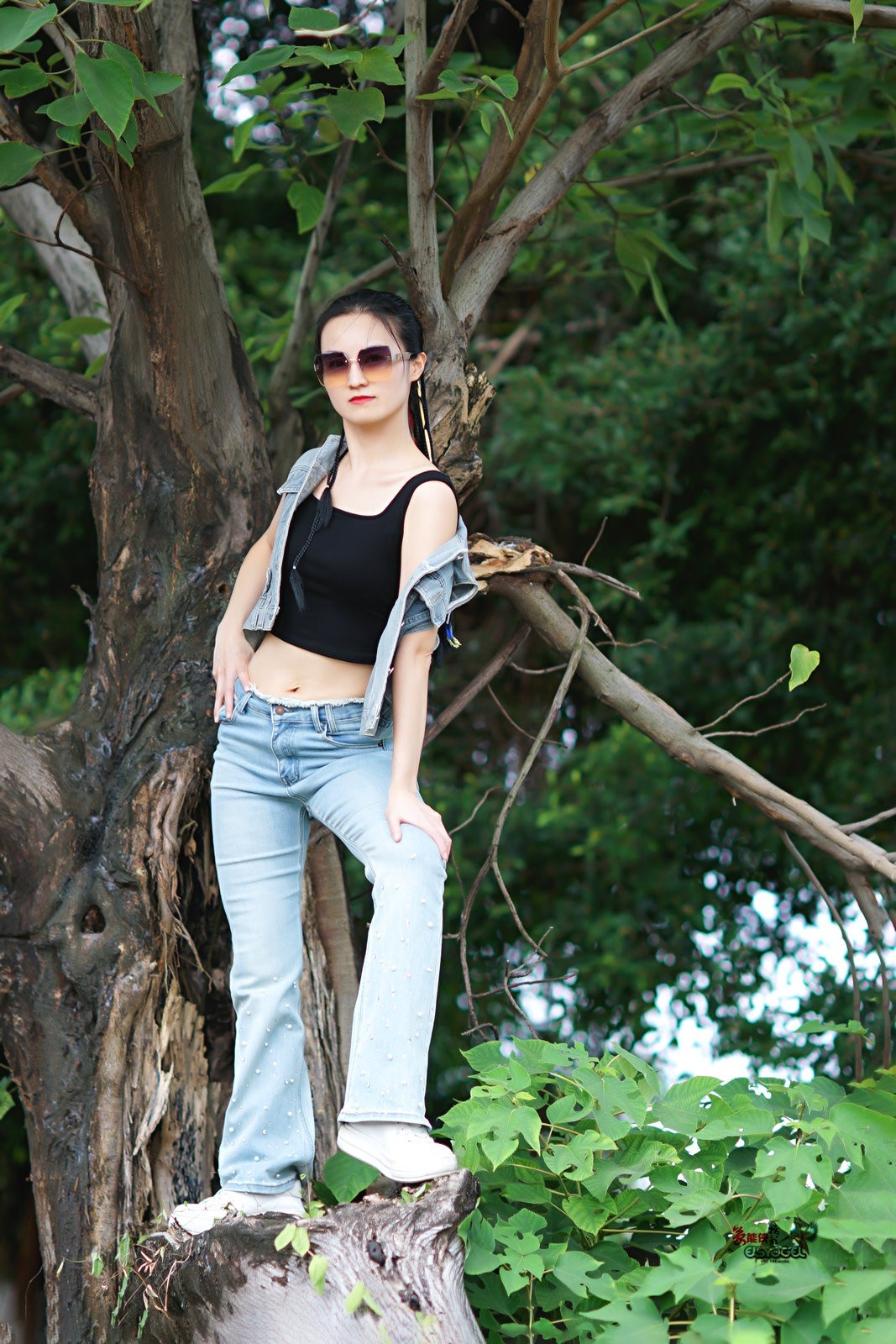 【树上酷女】---沛阳