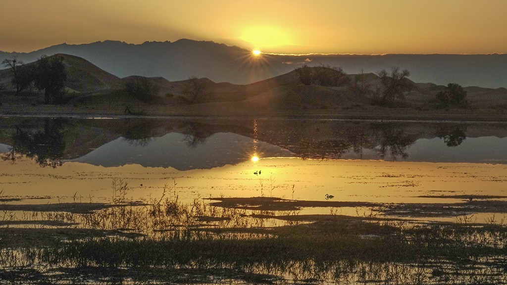 【原创】腾格里沙漠里的湖