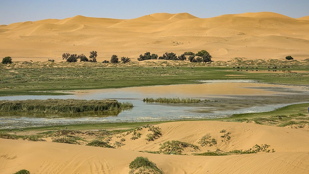 【原创】腾格里沙漠里的湖