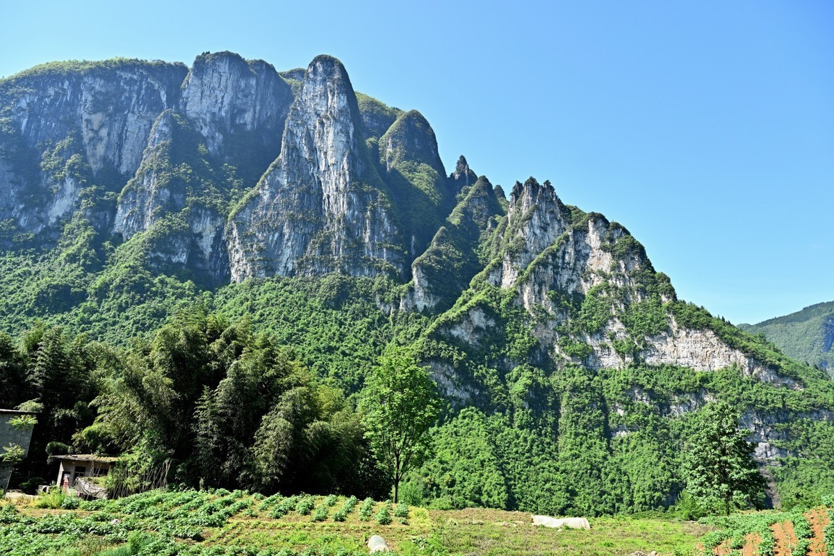 湖北游/恩施大峡谷梭布垭石林（5）