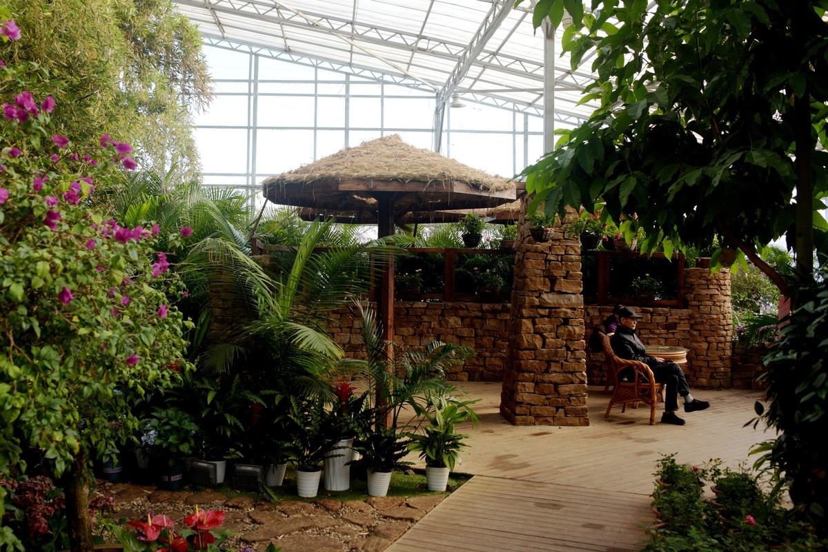 北方生态园内的南国园林景观（续）