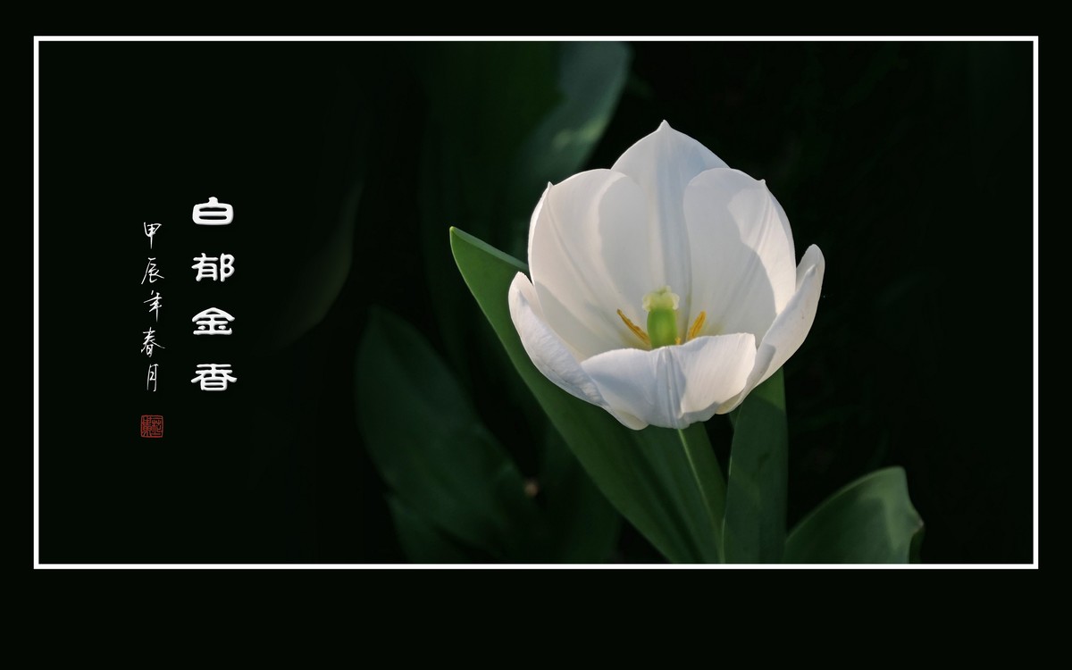 草举冰盏盛琼露，风摇玉杯洒花香