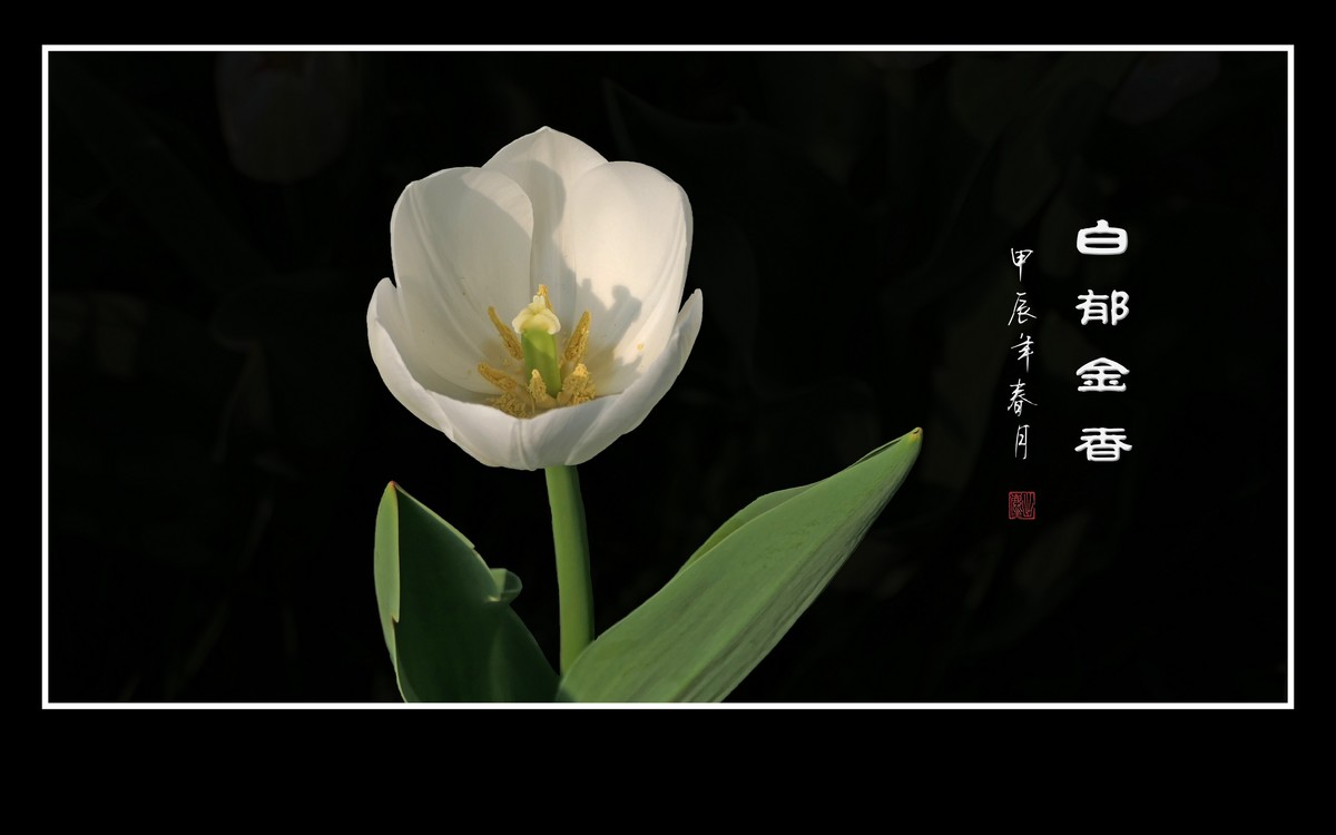草举冰盏盛琼露，风摇玉杯洒花香