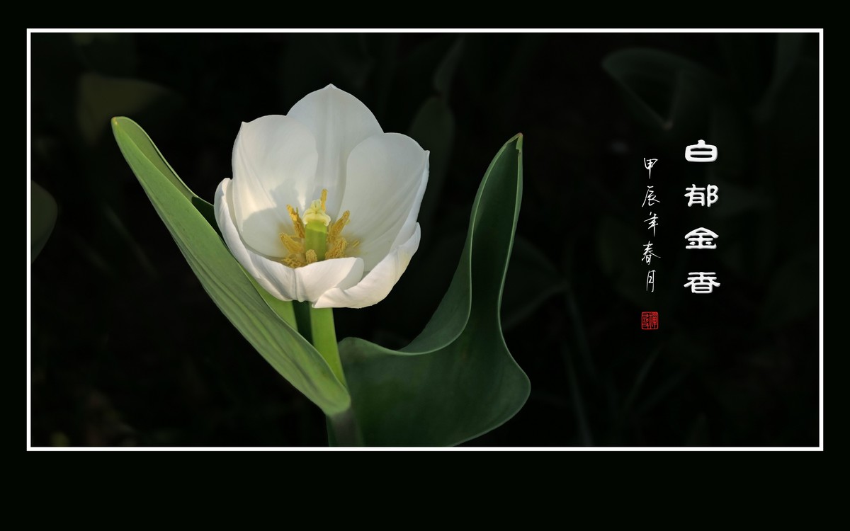 草举冰盏盛琼露，风摇玉杯洒花香