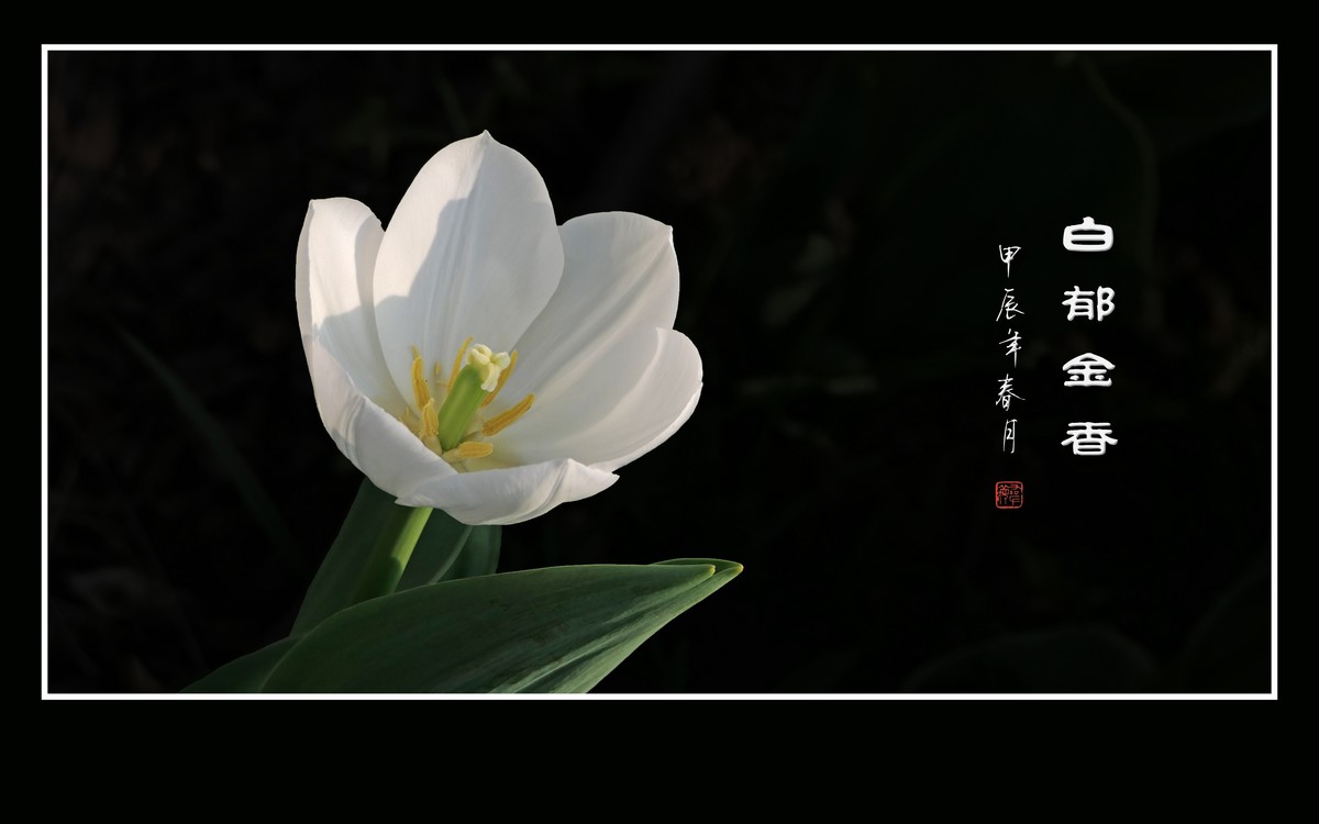 草举冰盏盛琼露，风摇玉杯洒花香