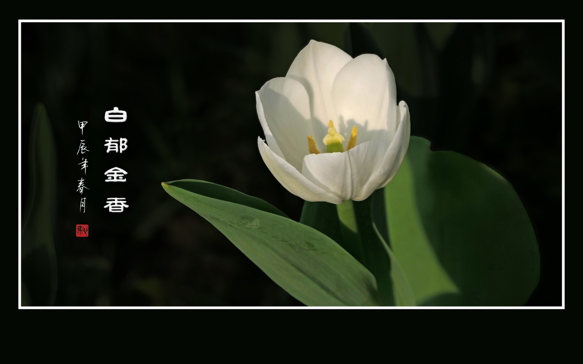 草举冰盏盛琼露，风摇玉杯洒花香