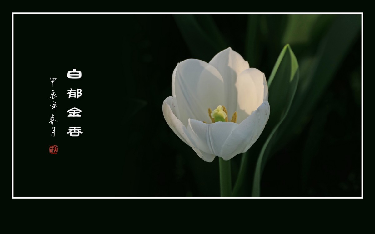 草举冰盏盛琼露，风摇玉杯洒花香