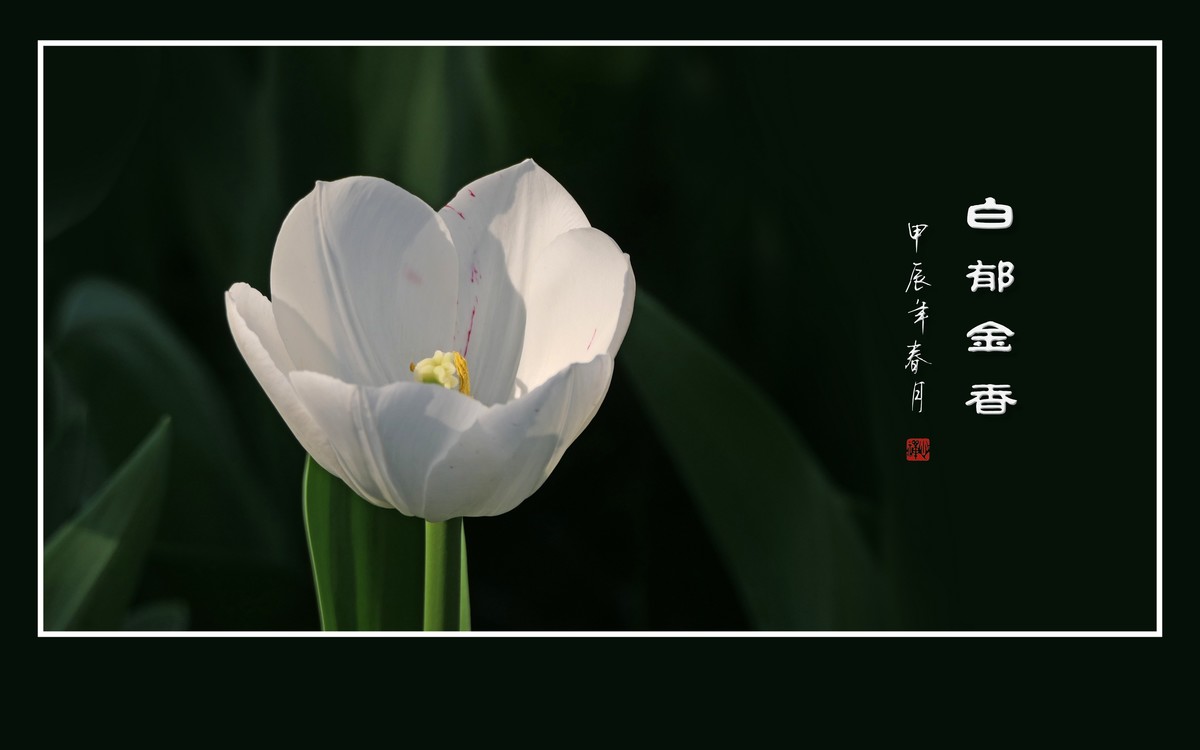 草举冰盏盛琼露，风摇玉杯洒花香