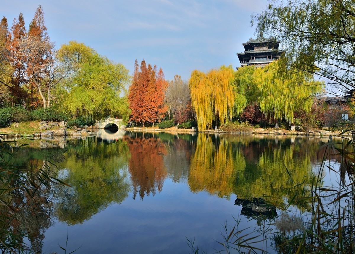 【视觉光影】泉 城 秋 色 （18）