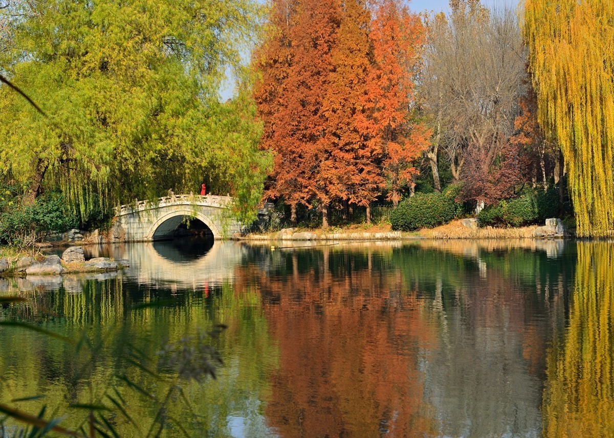 【视觉光影】泉 城 秋 色 （18）