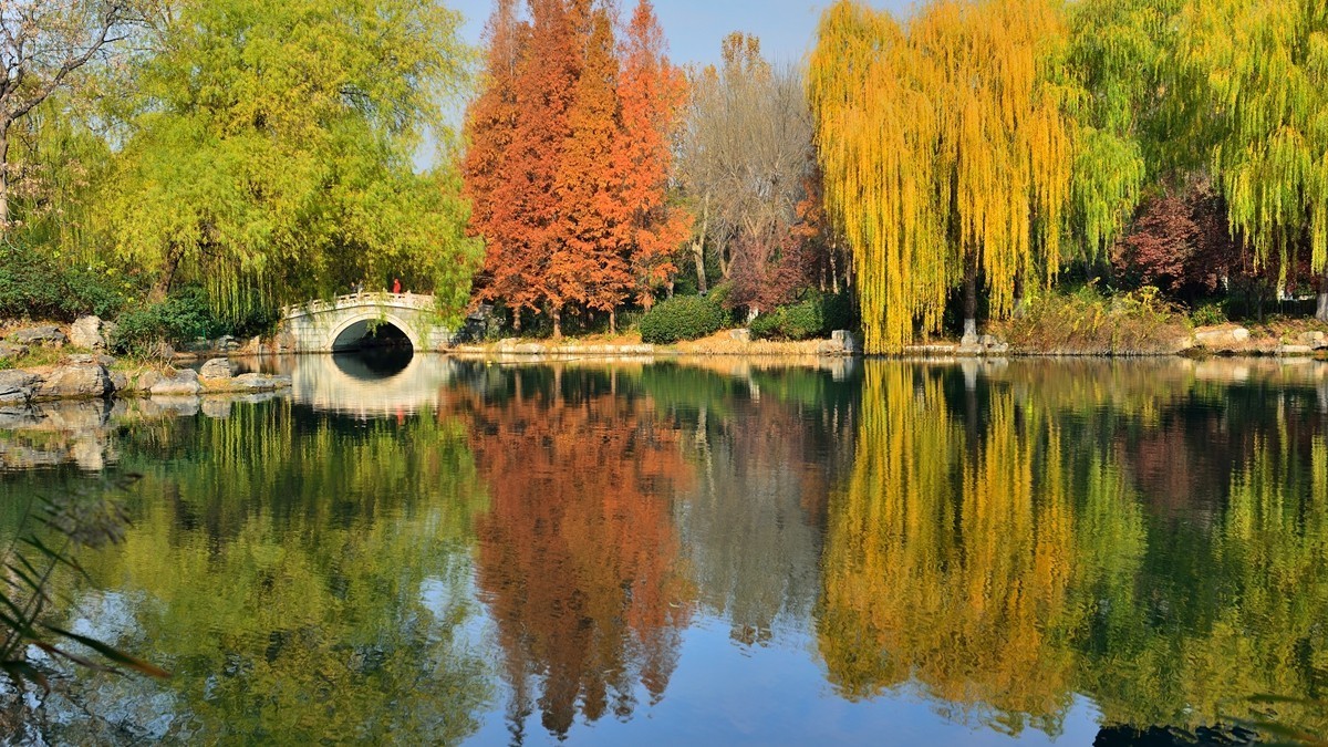 【视觉光影】泉 城 秋 色 （18）