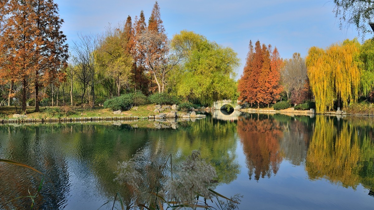 【视觉光影】泉 城 秋 色 （18）