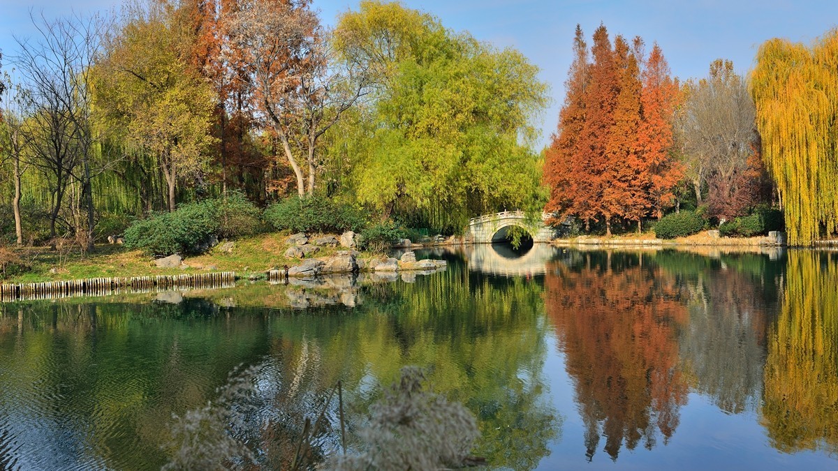 【视觉光影】泉 城 秋 色 （18）