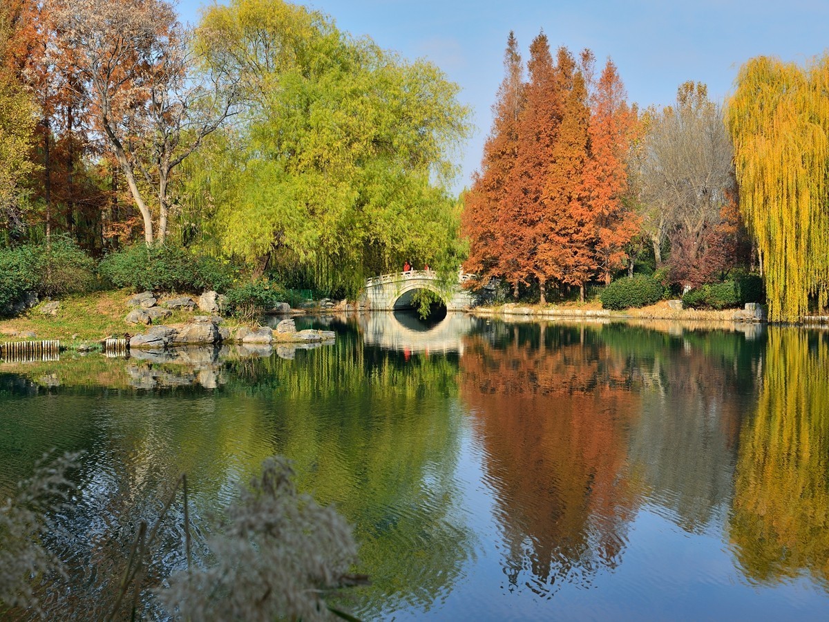 【视觉光影】泉 城 秋 色 （18）