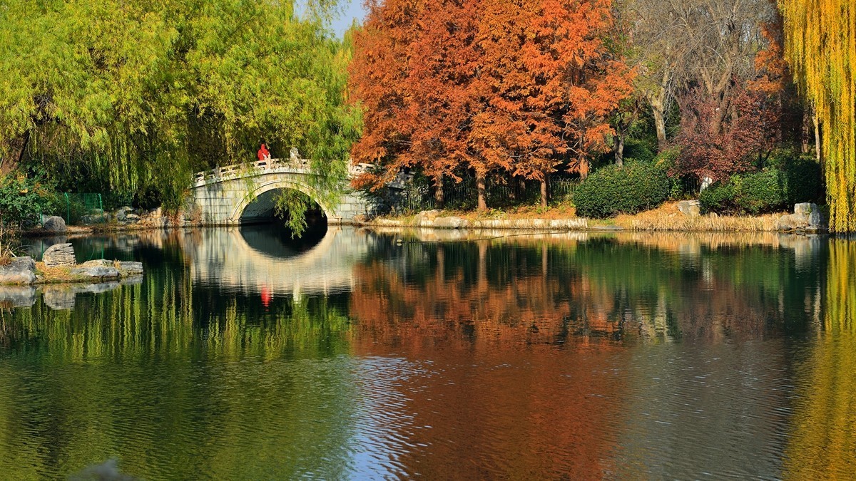 【视觉光影】泉 城 秋 色 （18）