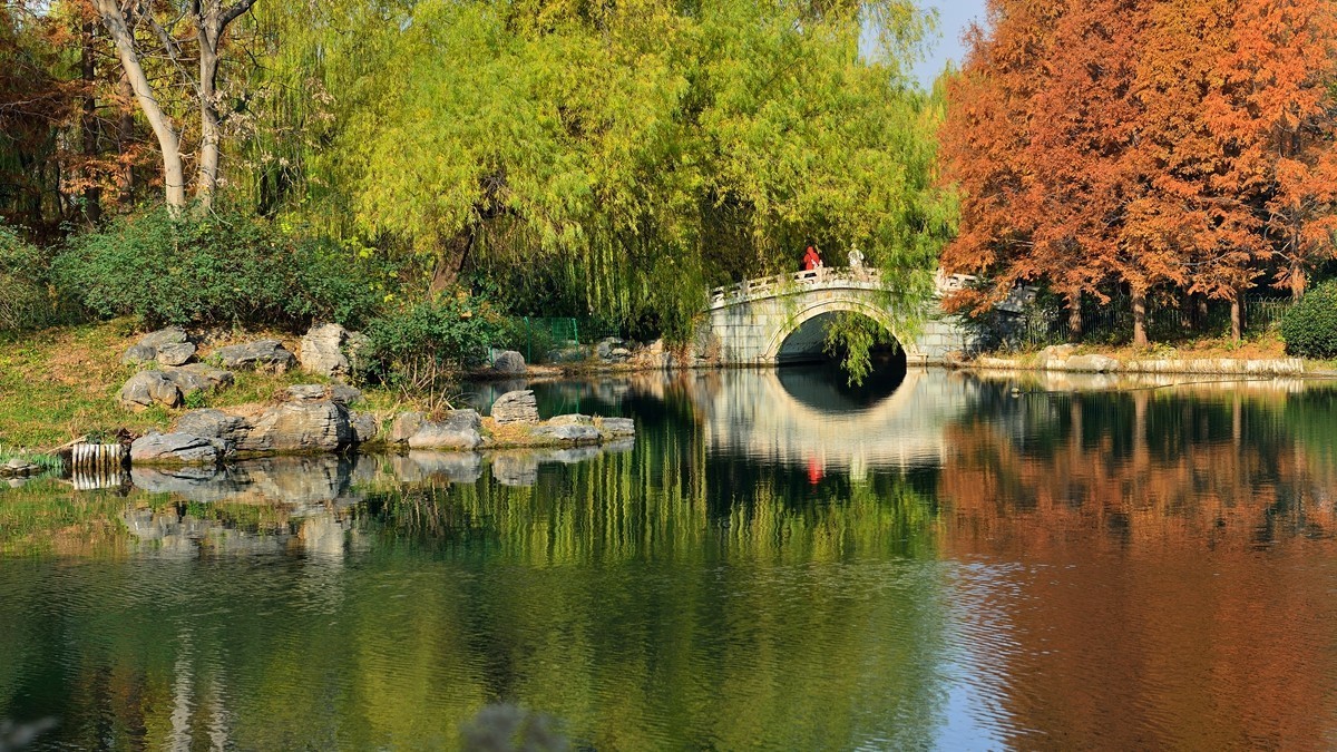 【视觉光影】泉 城 秋 色 （18）