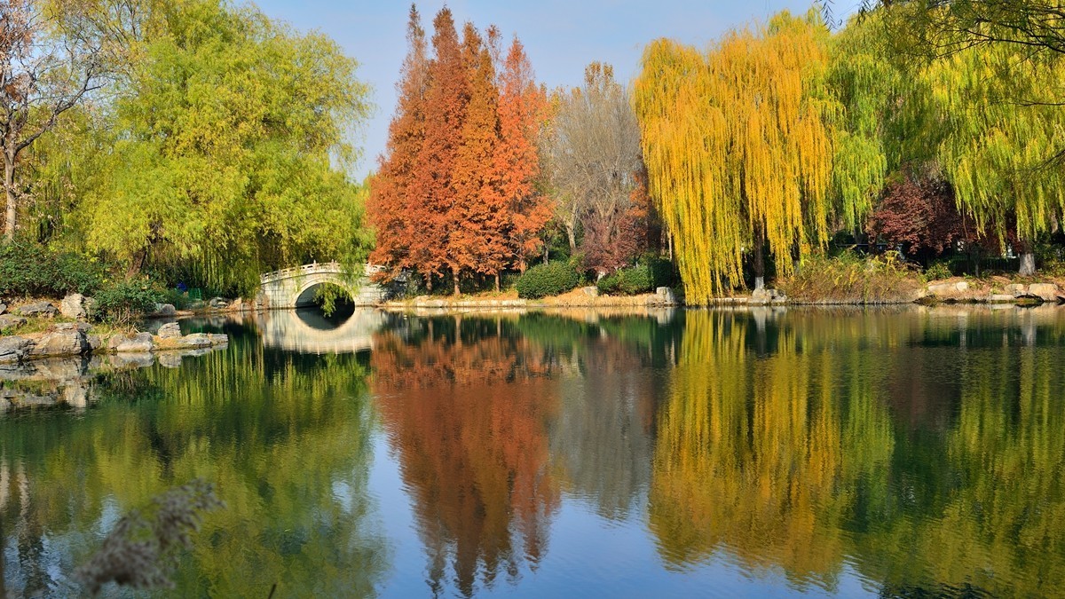 【视觉光影】泉 城 秋 色 （18）