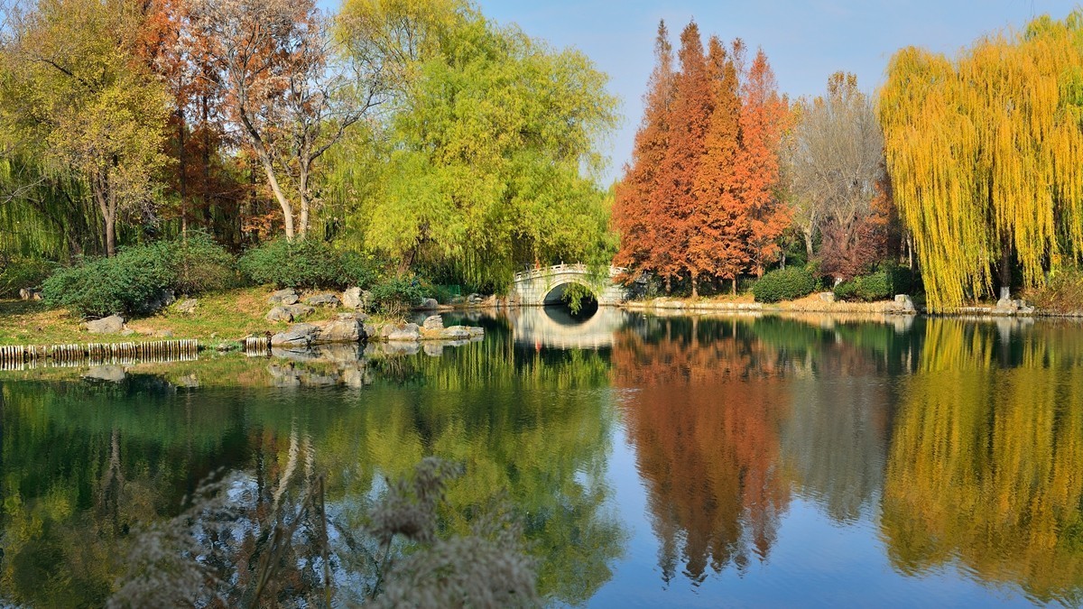 【视觉光影】泉 城 秋 色 （18）