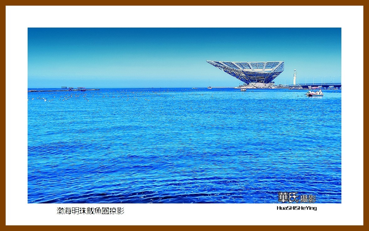 美色辽宁—渤海明珠鲅鱼圈掠影（营口市鲅鱼圈区）