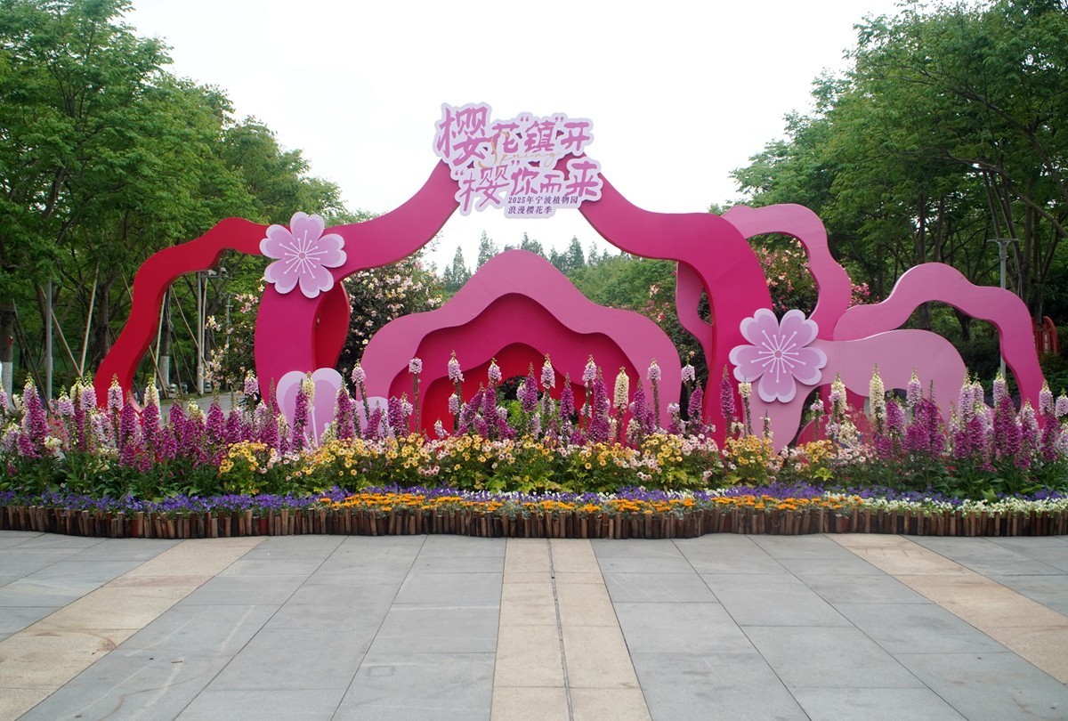 春日随拍之十四