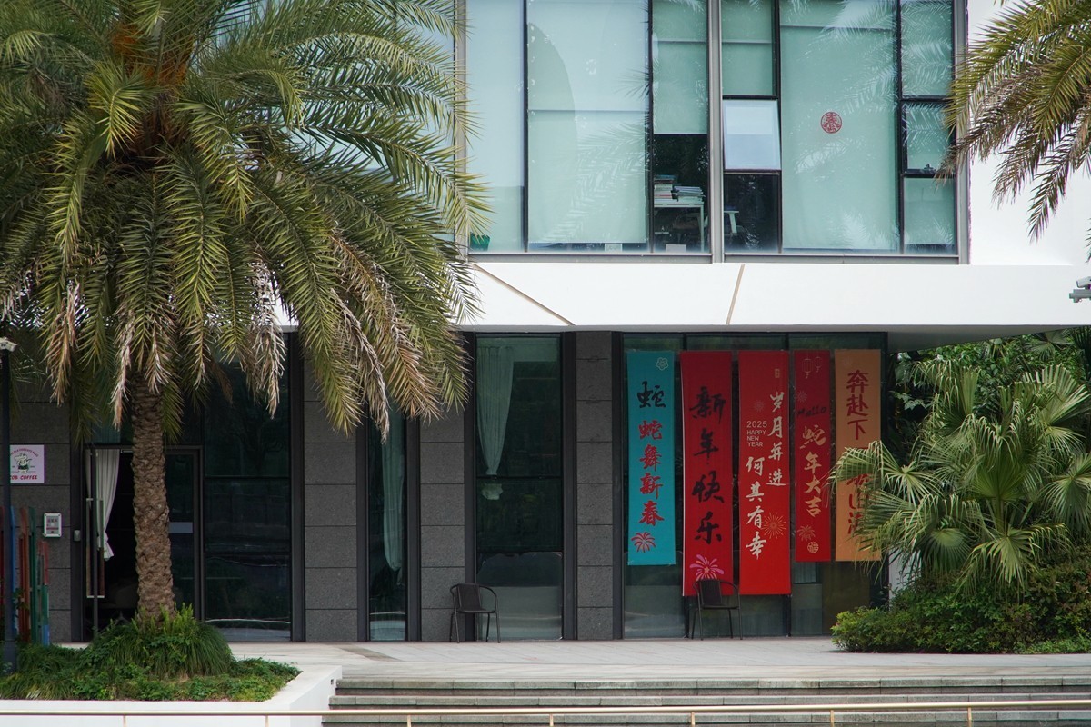 春日随拍之十四