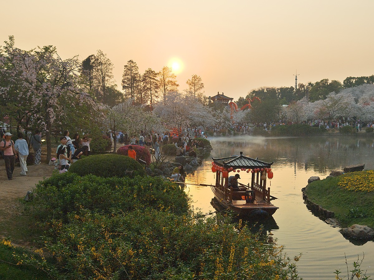武汉东湖樱花园20
