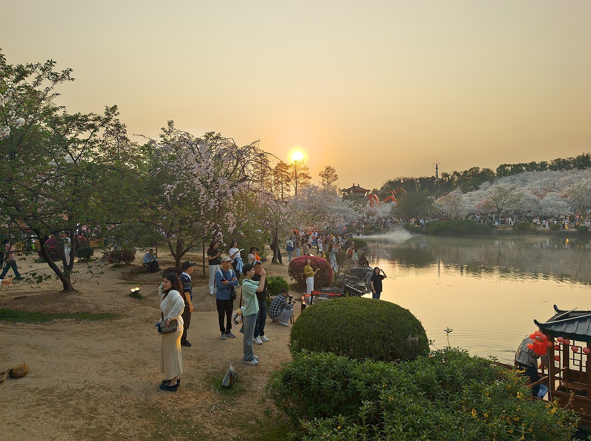 武汉东湖樱花园20