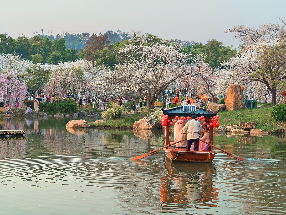 武汉东湖樱花园20
