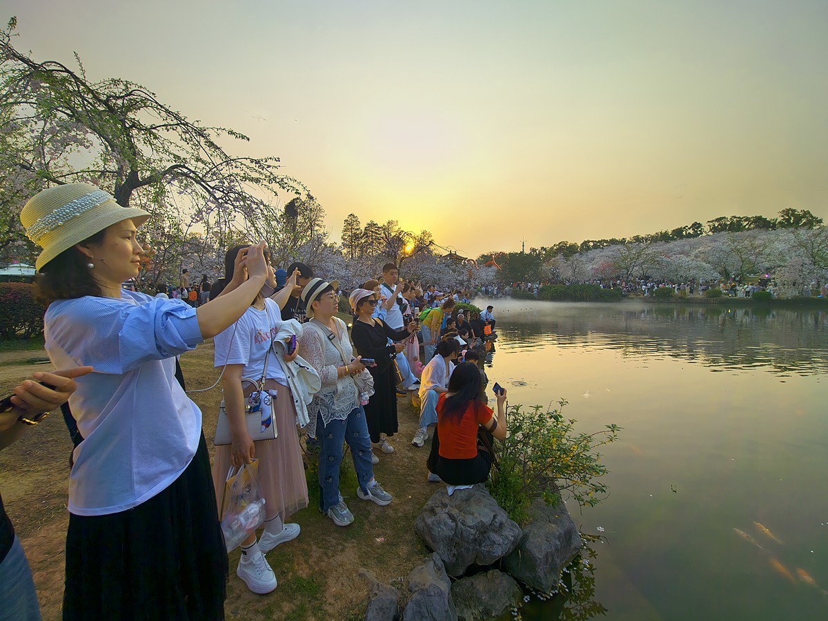 武汉东湖樱花园20