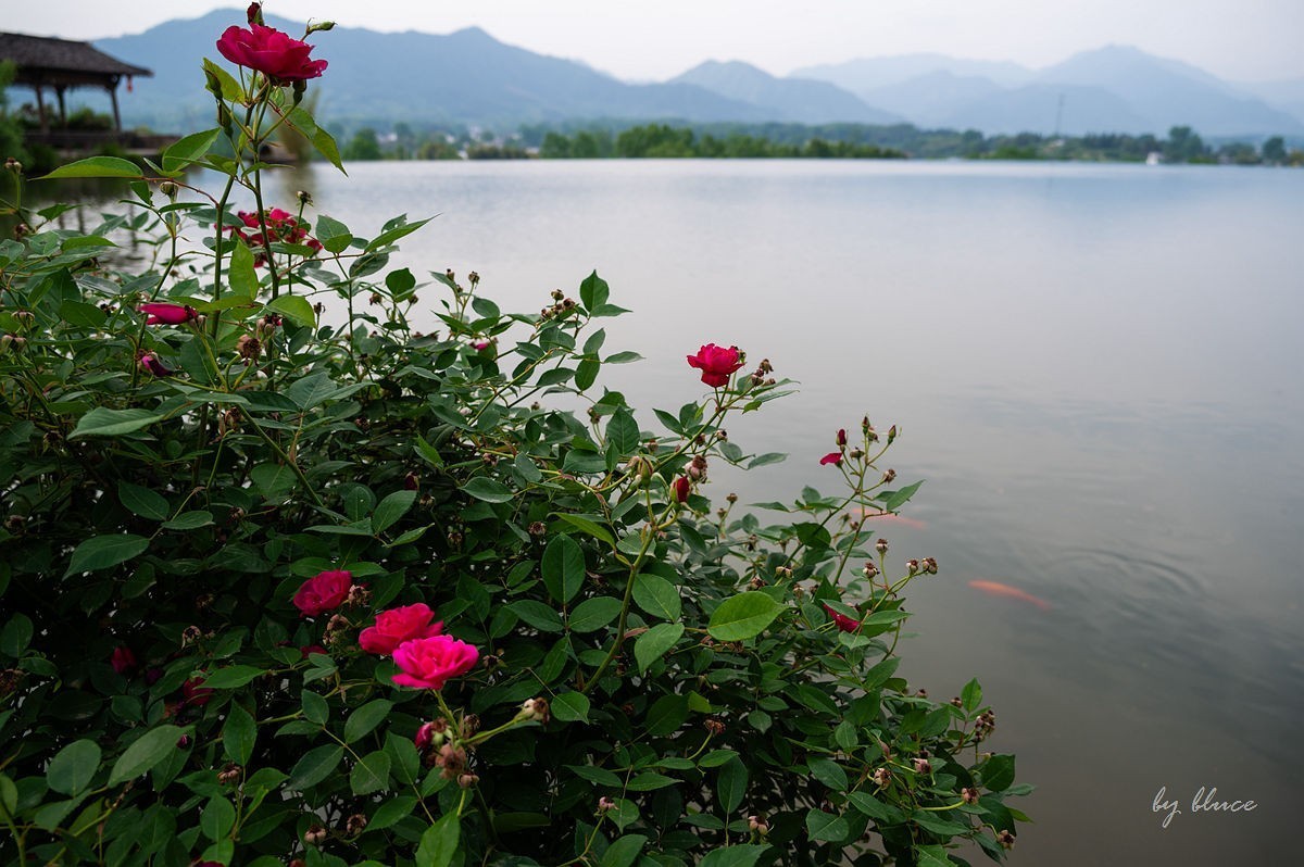 陶渊明故居——守拙园（上）