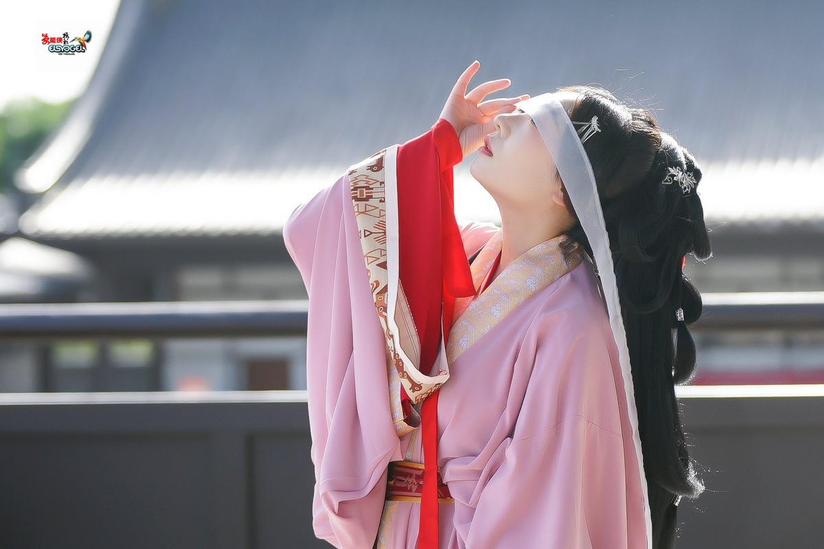 【桃之夭夭，灼灼其华】---兔子