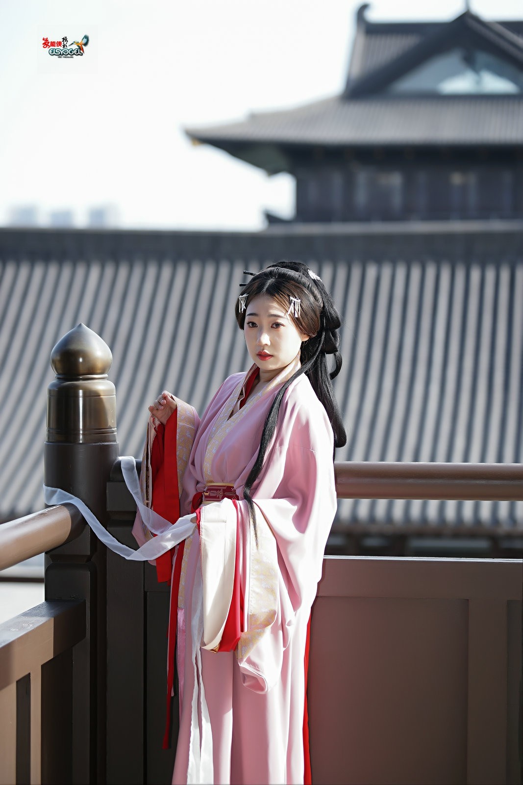 【桃之夭夭，灼灼其华】---兔子