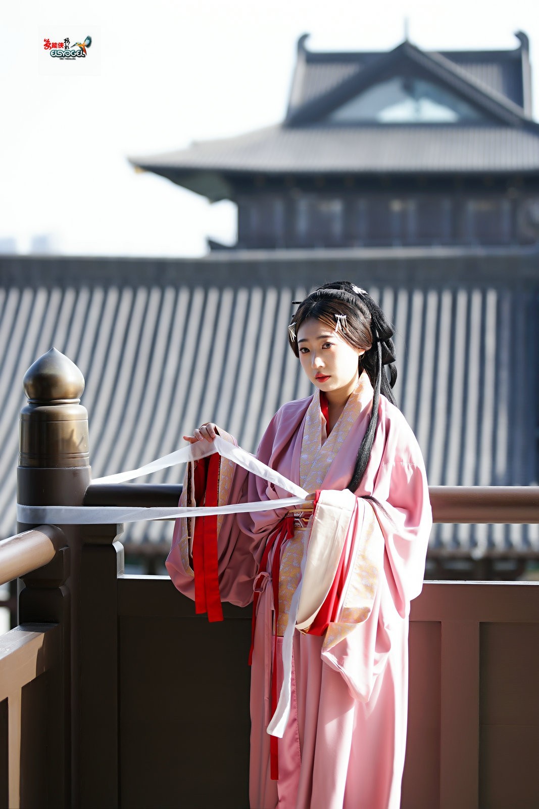 【桃之夭夭，灼灼其华】---兔子