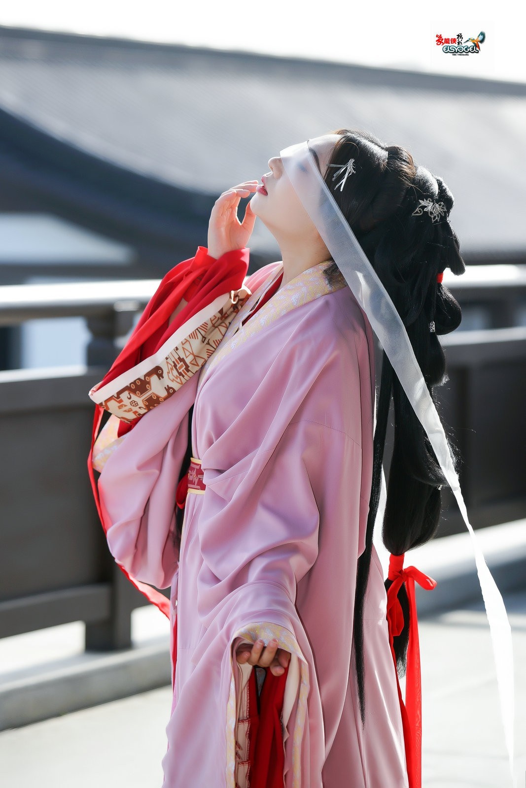 【桃之夭夭，灼灼其华】---兔子