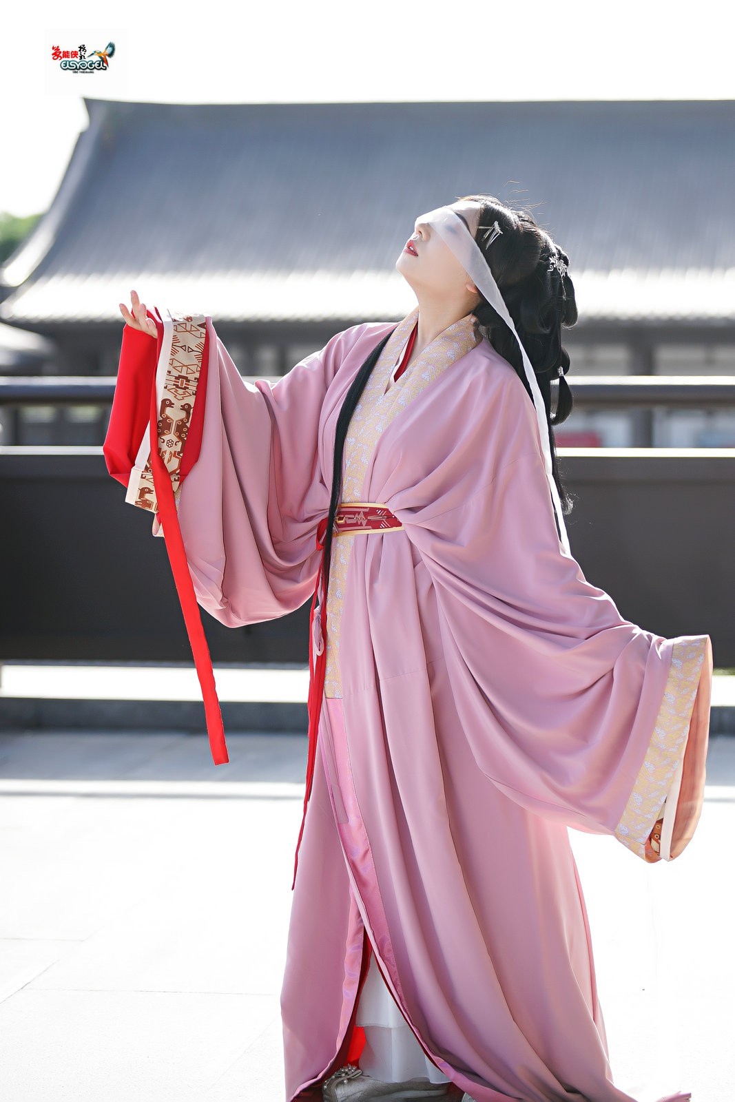 【桃之夭夭，灼灼其华】---兔子