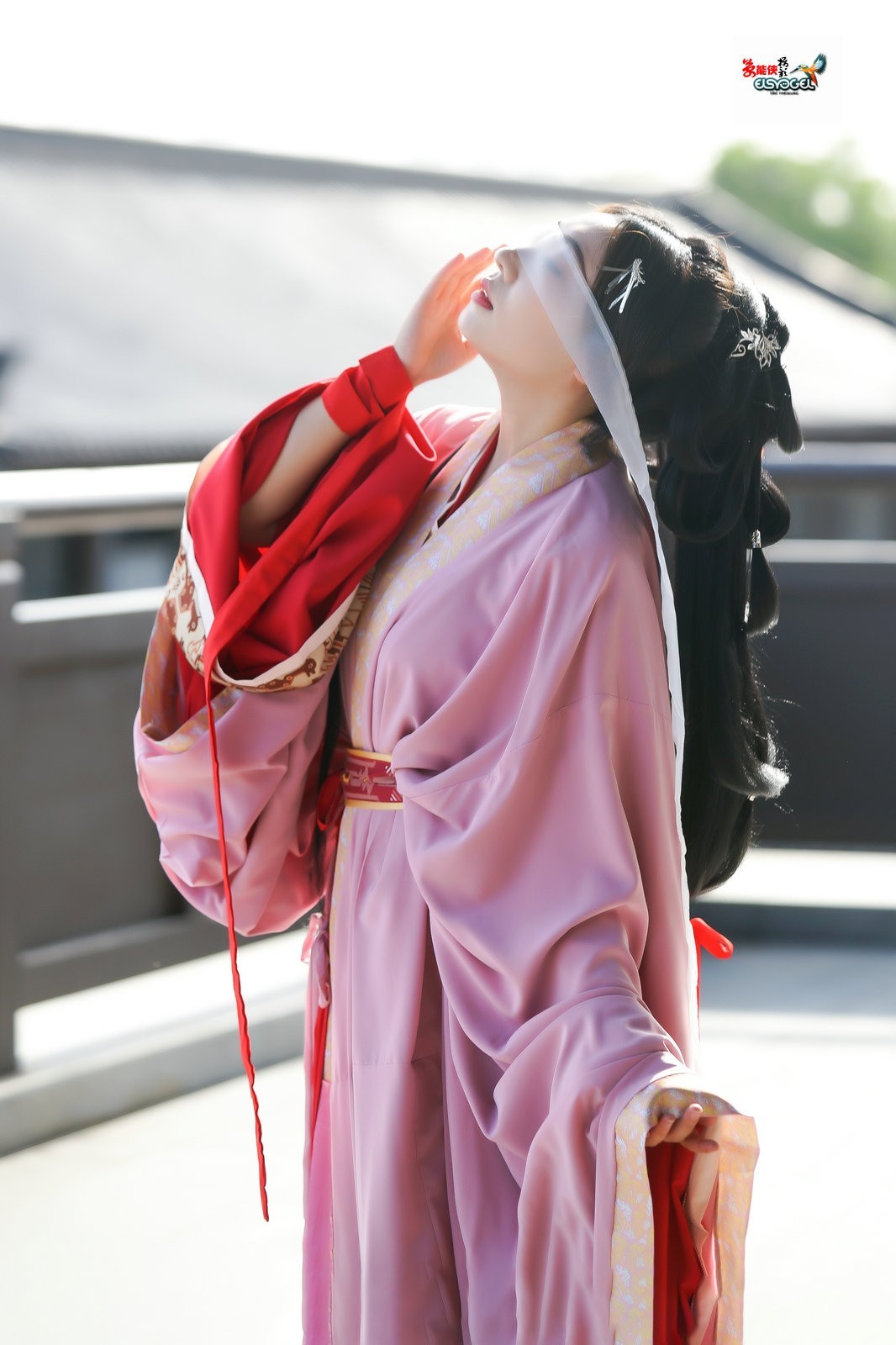 【桃之夭夭，灼灼其华】---兔子