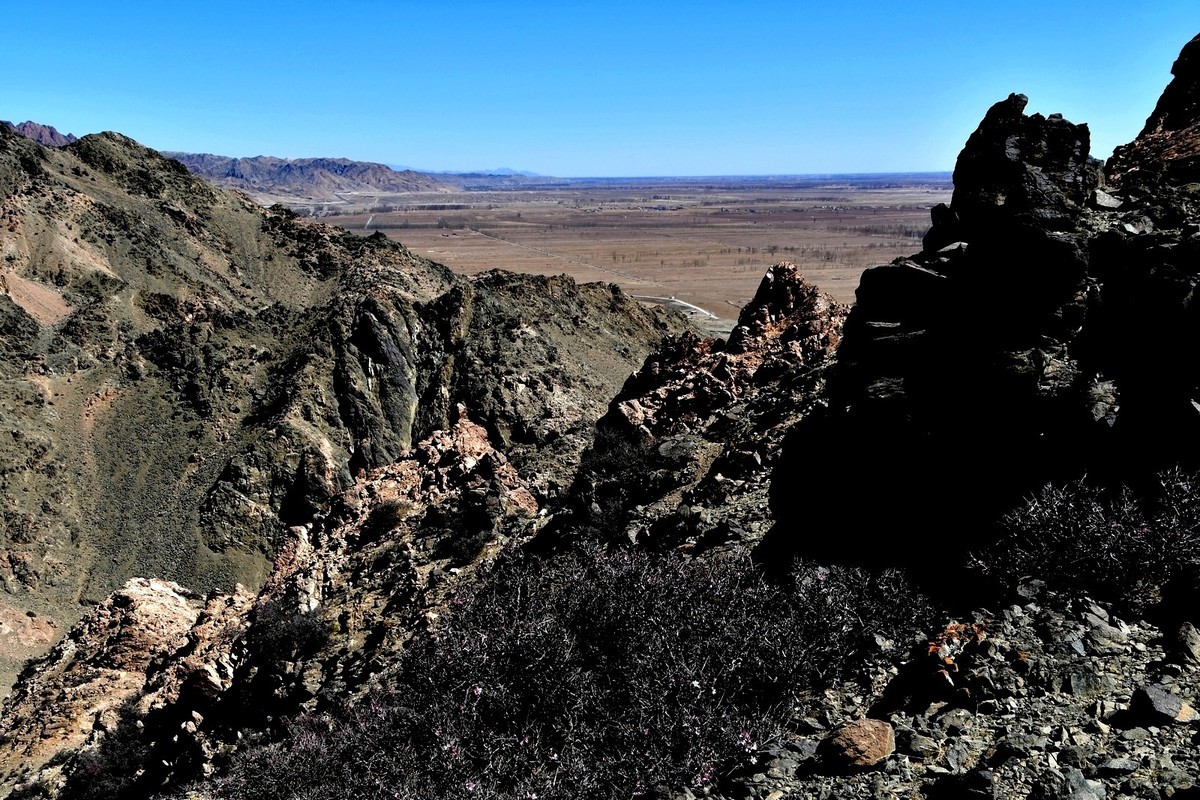 我只是把出去看到的随手记录下来（190）