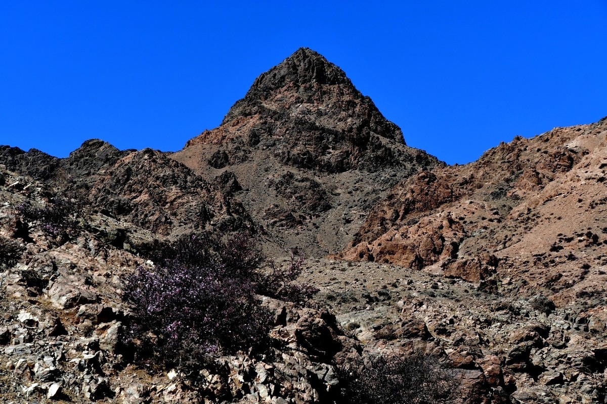 我只是把出去看到的随手记录下来（190）