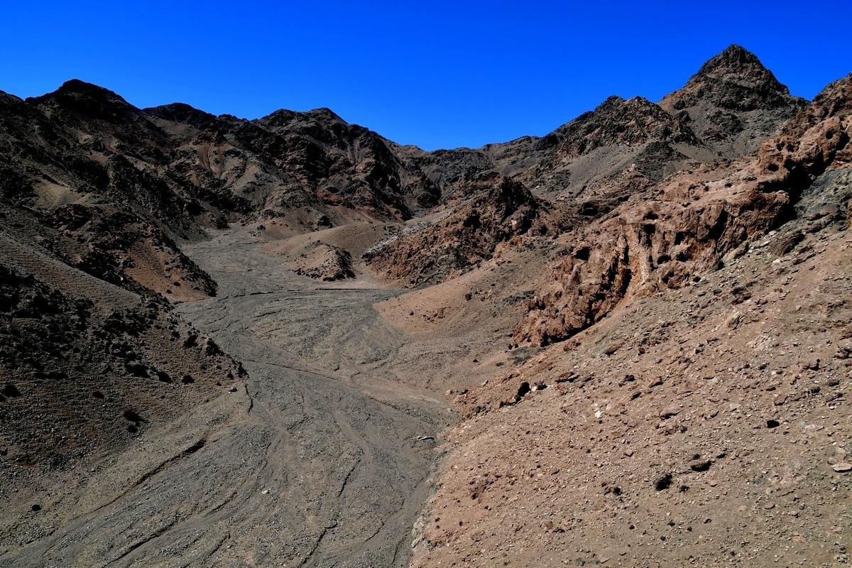 我只是把出去看到的随手记录下来（190）