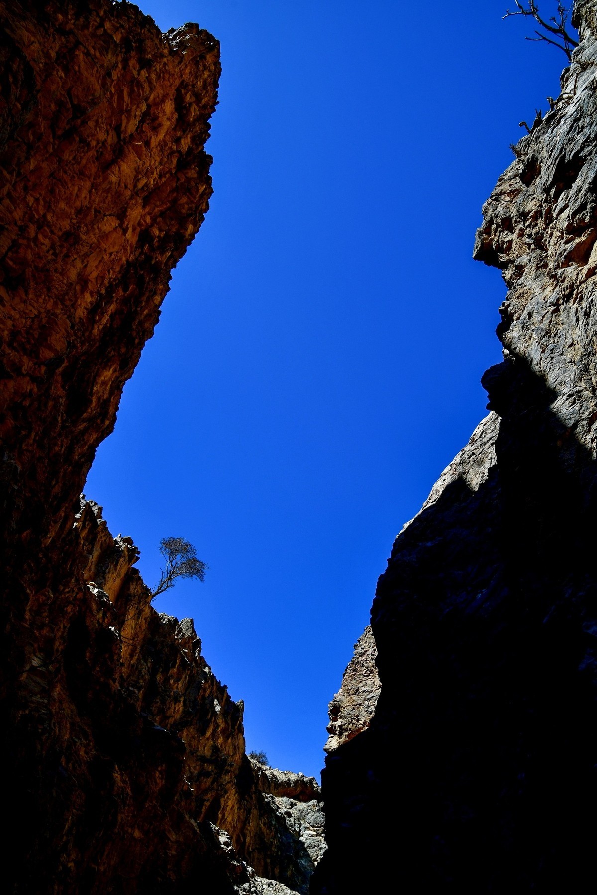 我只是把出去看到的随手记录下来（190）