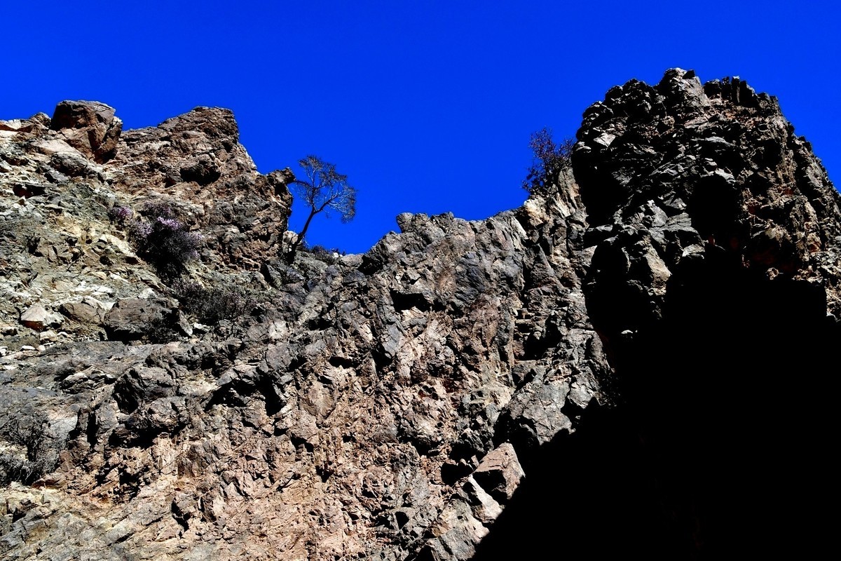 我只是把出去看到的随手记录下来（190）