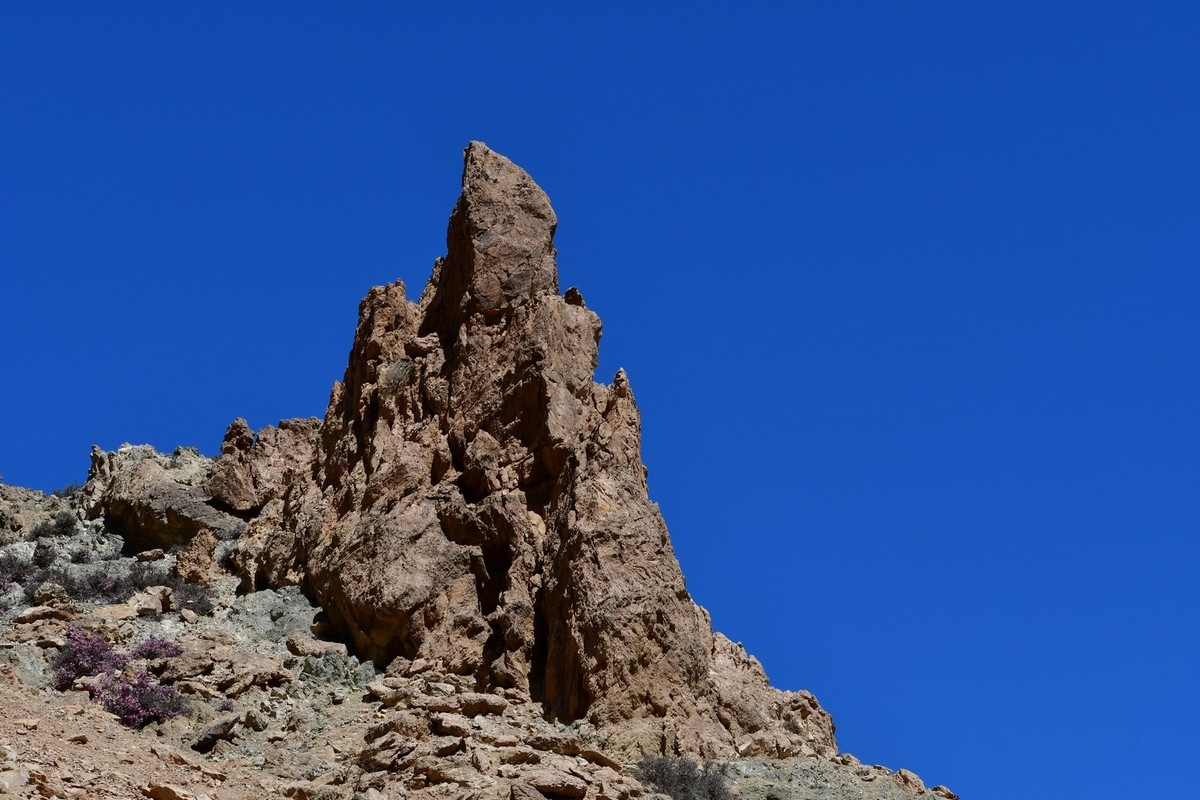 我只是把出去看到的随手记录下来（190）