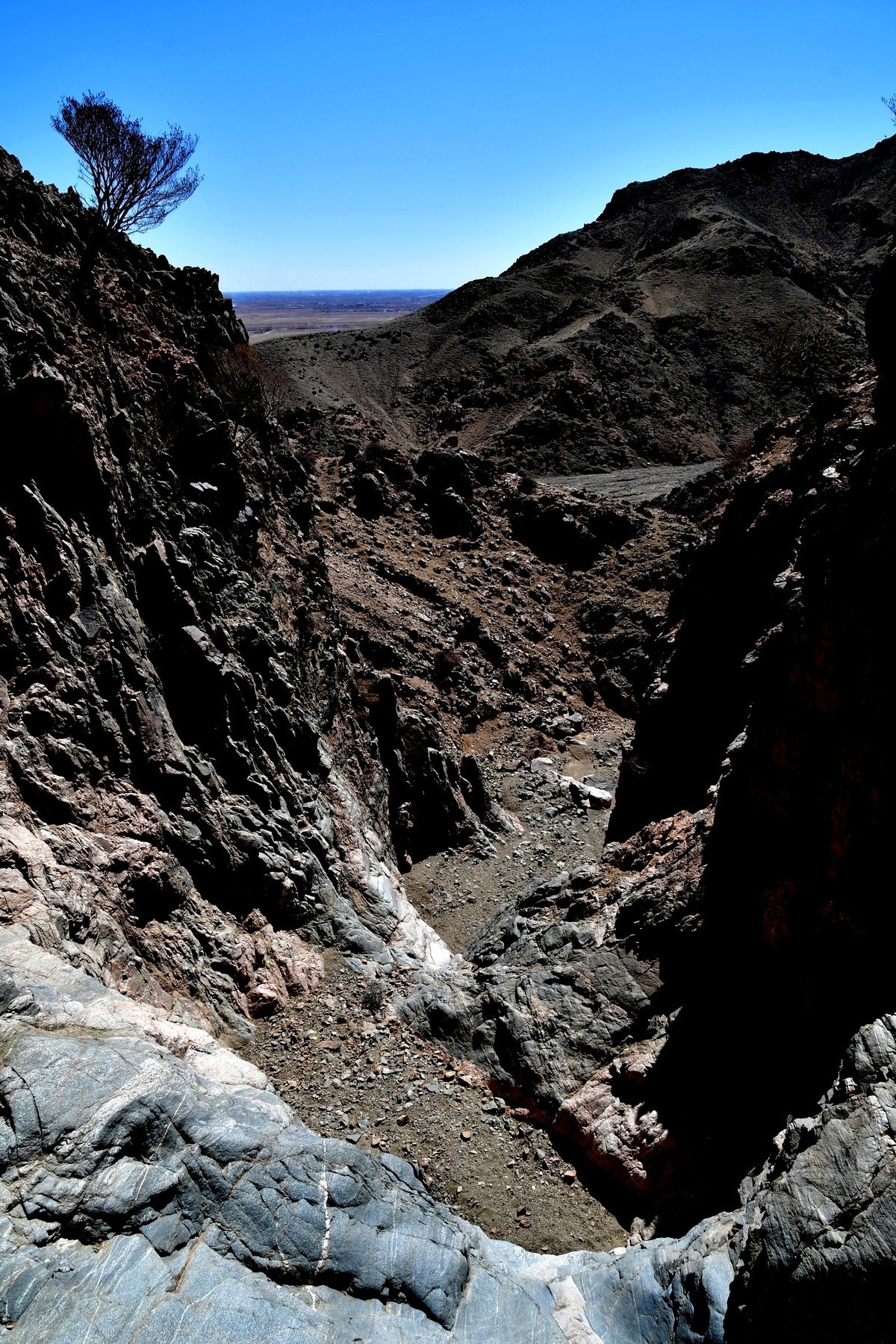 我只是把出去看到的随手记录下来（190）