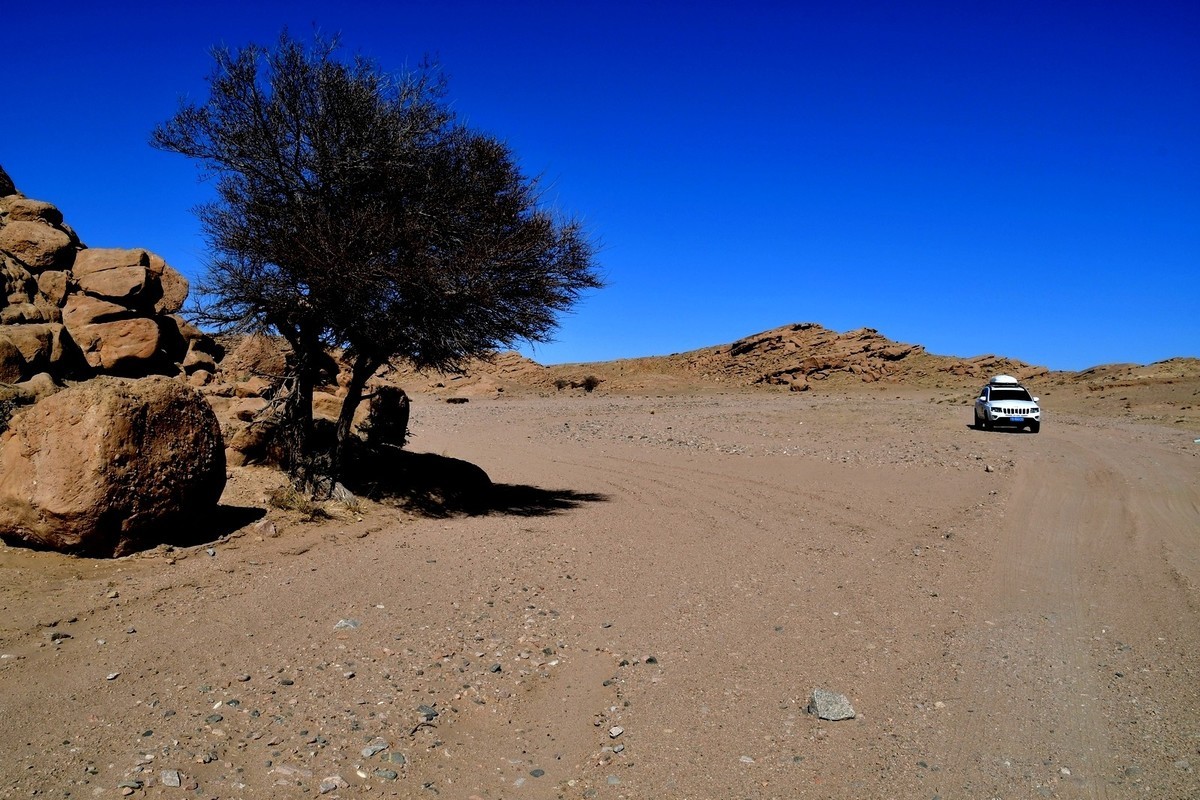 我只是把出去看到的随手记录下来（190）