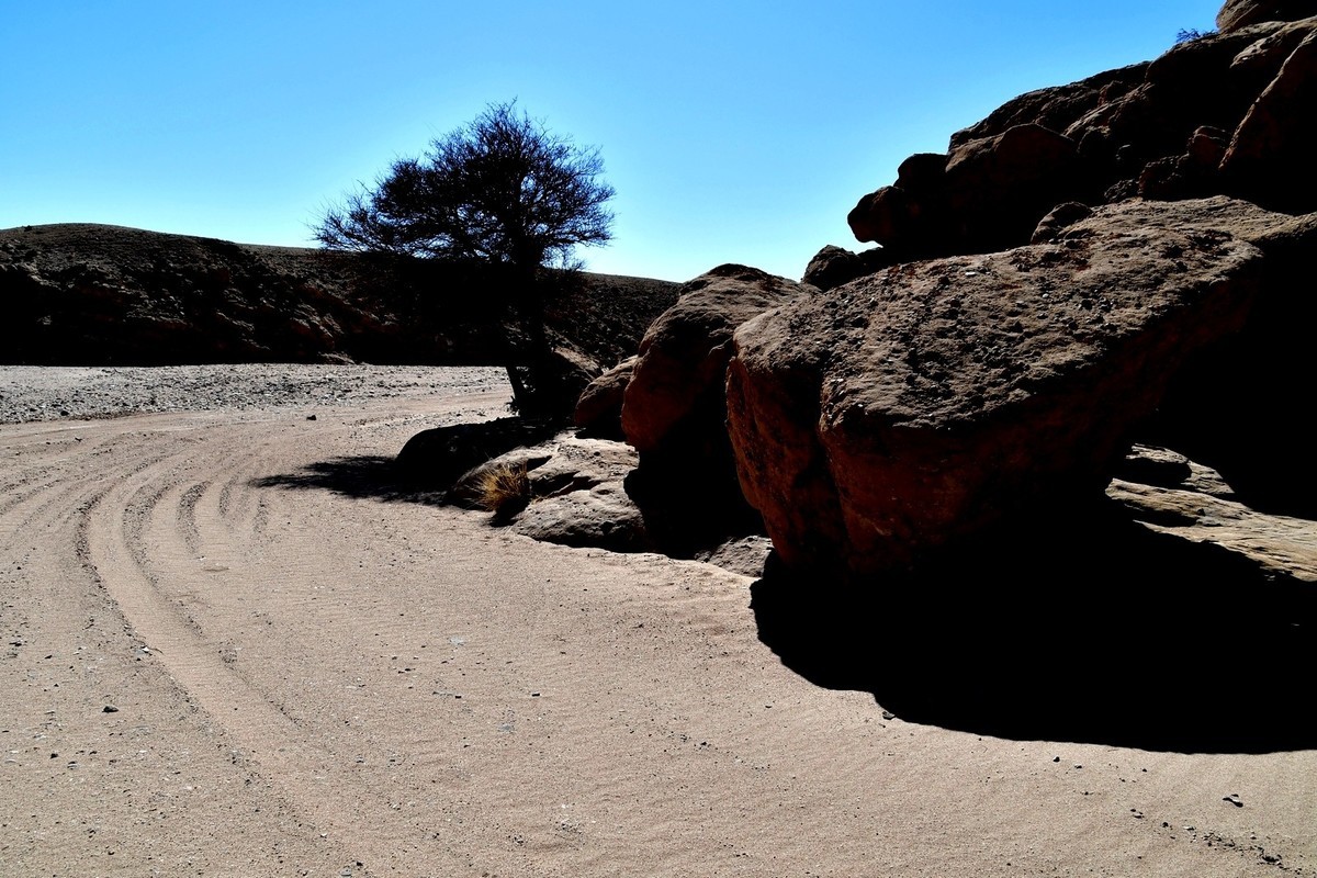 我只是把出去看到的随手记录下来（190）