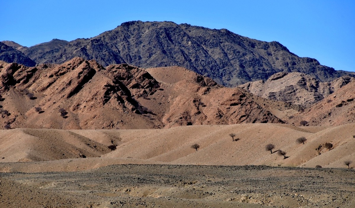 我只是把出去看到的随手记录下来（190）