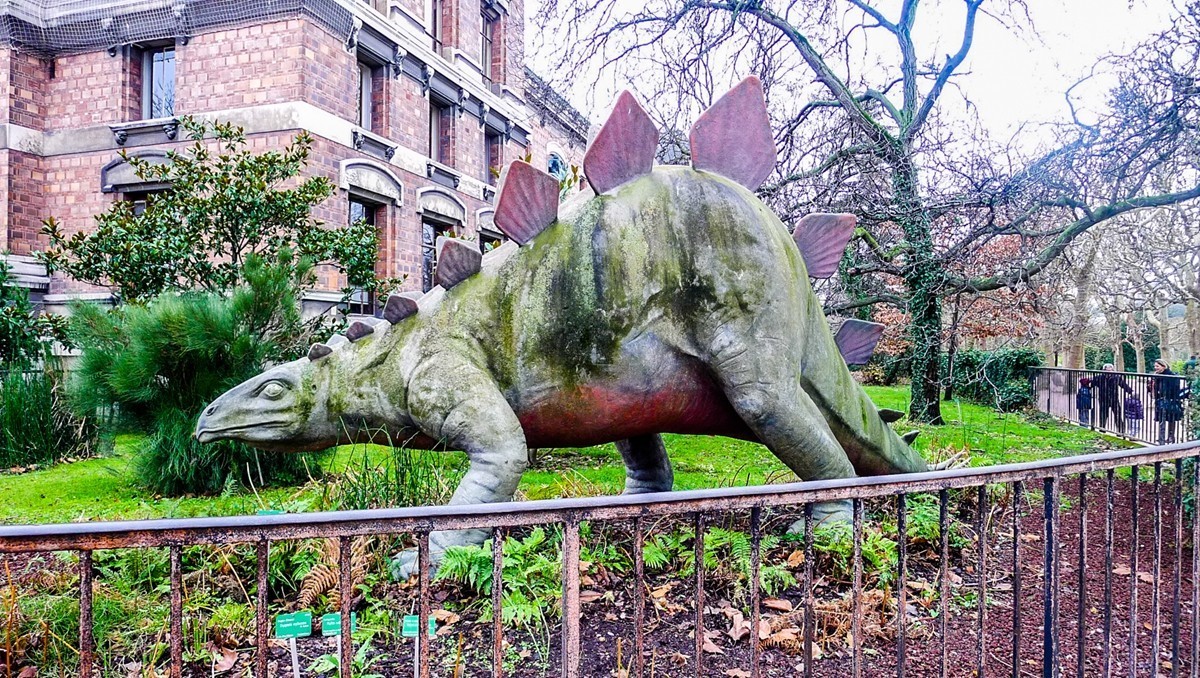 雕塑特写（巴黎）